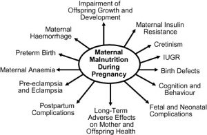 pregnancy nutrition